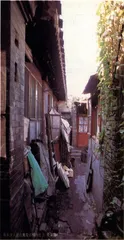房子，永远的念想1