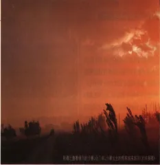 沙老虎吃地球1
