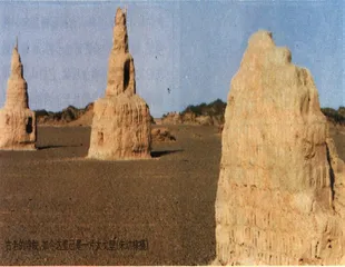 沙老虎吃地球3