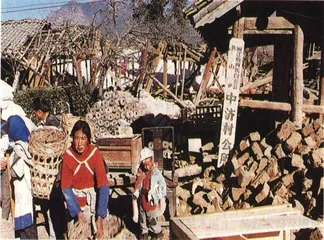 丽江大地震4