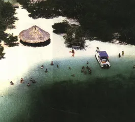 告别疲于奔命的生活1