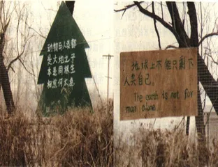 最后的泽西3