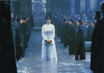 戛纳为什么拒绝中国3
