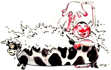生活圆桌（15）
