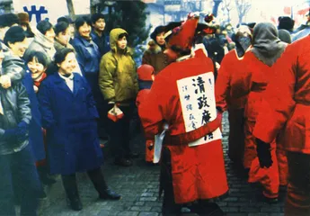 老百姓呼唤大“王法”1