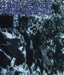 洋垃圾入侵亚非拉