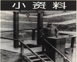 美国的死刑：负重的牛车3
