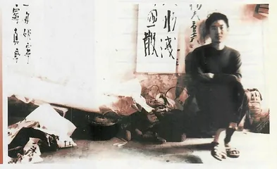 户口：中国最后一道城墙3