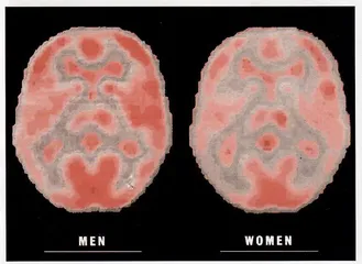 男人和女人：脑功能确有差异