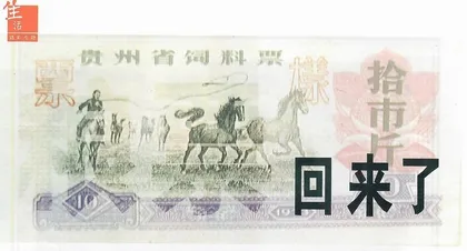 粮票回来了