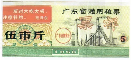 粮票回来了1