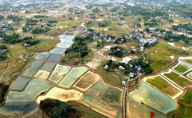 四川开江：构筑巴山米粮仓 