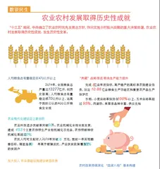 全国人大代表初建美:保护黑土地 吃上放心粮1