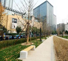 北京朝阳区:朝外街道,再次"火"起来1