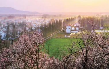 安徽宿州埇桥区:搭文旅舞台 唱振兴大戏1