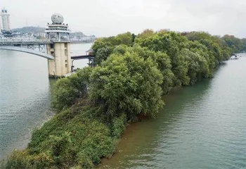 兰江“小上海”往事：早茶、花船与鱼鳞图册
