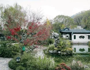 兰江“小上海”往事:早茶、花船与鱼鳞图册1