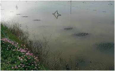 鄱阳湖畔,吴城往事12