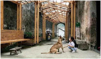 新乡村改造:不为游客,不做网红1