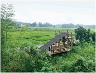 新乡村改造:不为游客,不做网红3