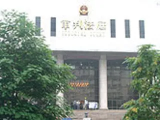 ​副省长雇凶杀妻案的社会背景1