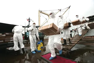​未雨绸缪对抗禽流感