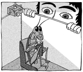 脑研究与电影