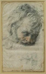 素描试探市场温度2