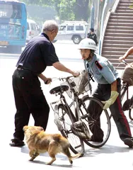 北京小区“毒狗”事件