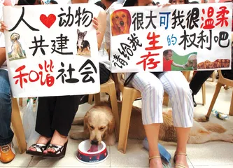 北京小区“毒狗”事件2