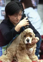 北京小区“毒狗”事件1