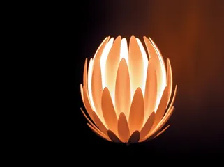 好东西(353)1