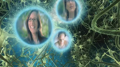 挂着科学羊肉的纪录片