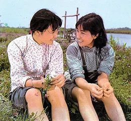 断断续续的抒情
