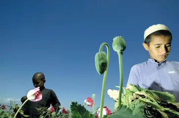 天下(342)6