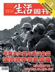 国共携手共赴国难