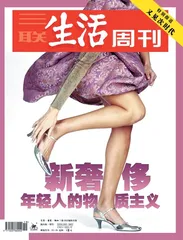 新奢侈—年轻人的物质主义