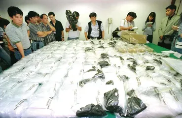 ​刘招华：技术主义毒枭的末路3