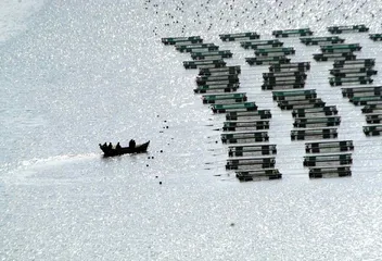 ​初旺村的海洋荒漠2