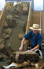 ​190个烟灰缸，1个《控烟公约》2