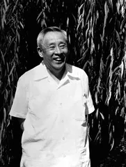 两岸关系中几个牵线人