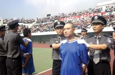 ​看那一排骨瘦如柴的女孩们2