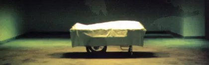 2005年，恐怖片大行其道？