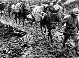 ​1937年8月20日:各路人马，中国将领布局上海5