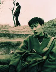在银幕上反思80年代