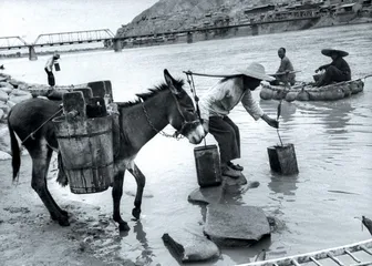 ​水污染挑战中国政府(328)4