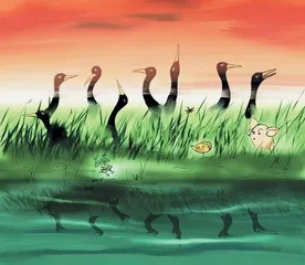 ​天下溪的乡土情结10