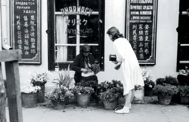 ​1905.3.10〜1931.9.1816