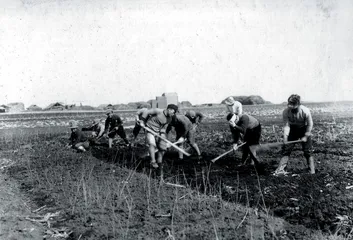 ​1905.3.10〜1931.9.1818
