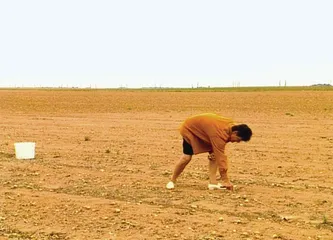 ​离法国电影近一点,再近一点3